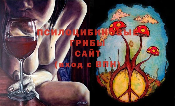 прущие крисы Рославль